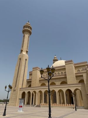 IMG_7528.jpg