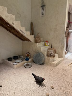 IMG_7569.jpg