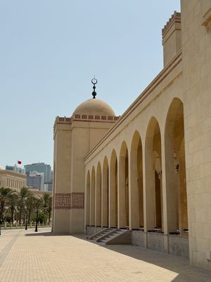 IMG_7599.jpg