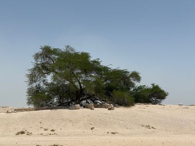 IMG_7677.jpg