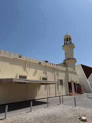 IMG_7694.jpg