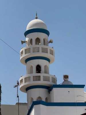 IMG_7717.jpg