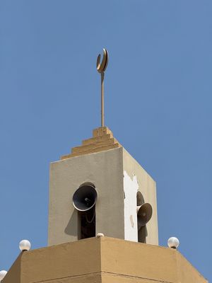 IMG_7725.jpg