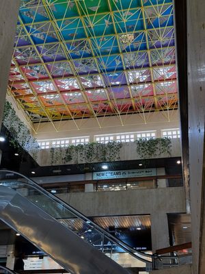 IMG_7754.jpg