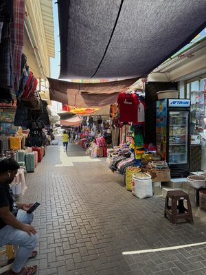 IMG_7761.jpg