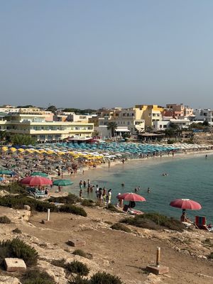 IMG_8298.jpg