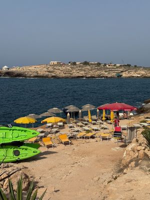 IMG_8313.jpg