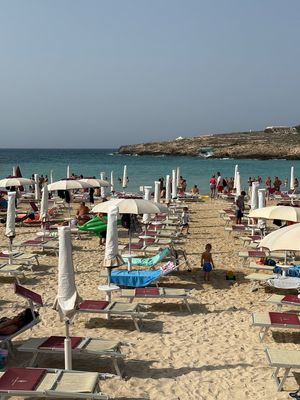 IMG_8320.jpg