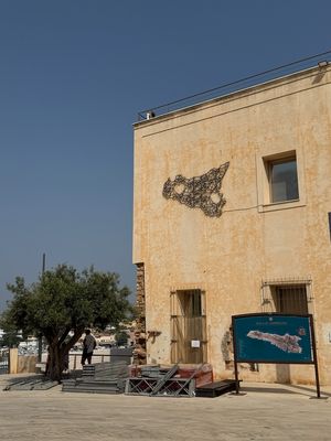 IMG_8345.jpg