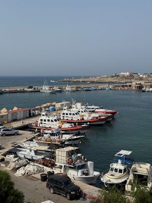 IMG_8347.jpg