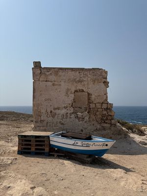 IMG_8374.jpg