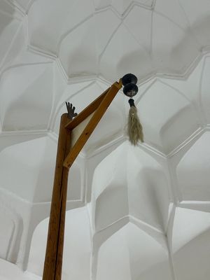 IMG_9114.jpg