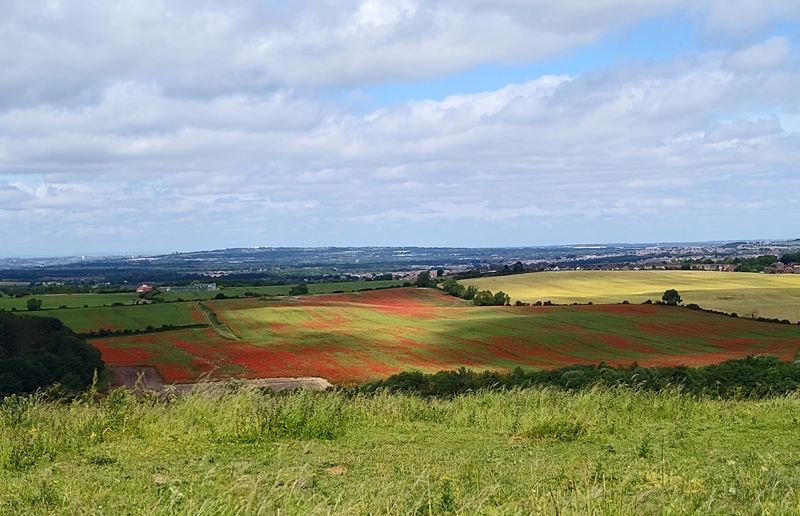 County Durham cycling