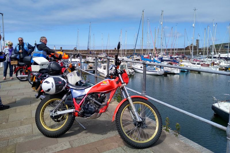 Whitehaven TLR