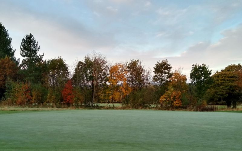 Morning colour