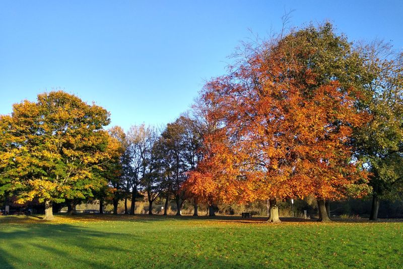 Park life