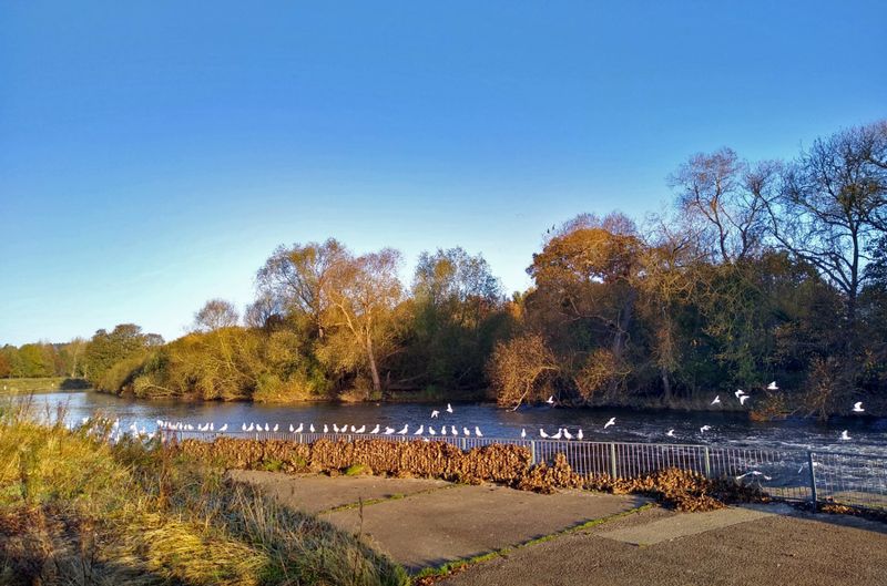 By the weir