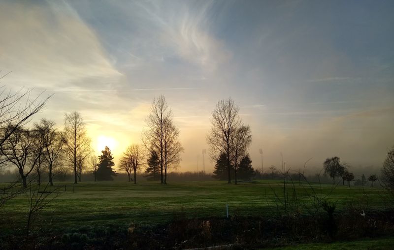 Misty