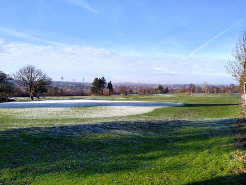 Mostly white green