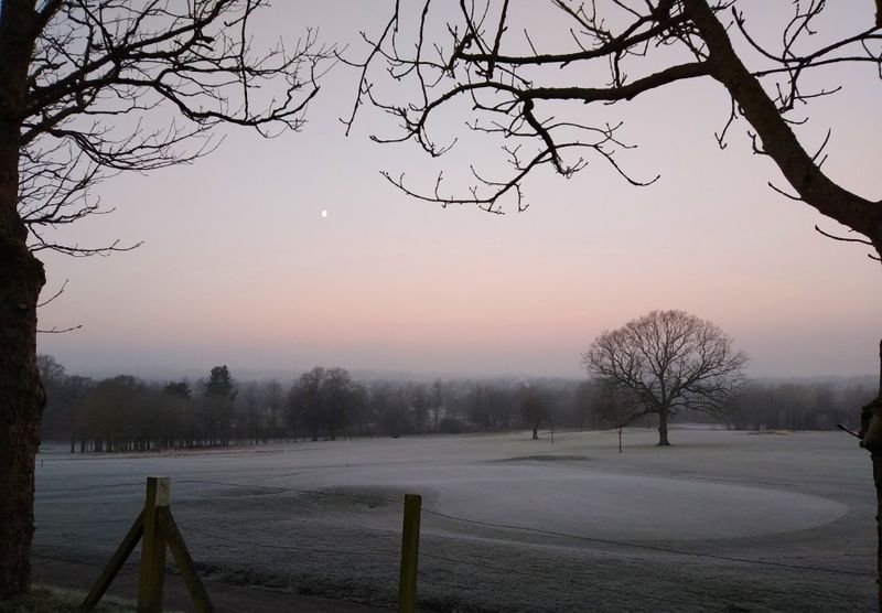 Waning moon