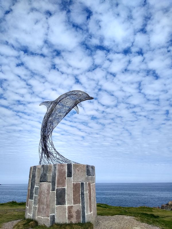 Dolphin