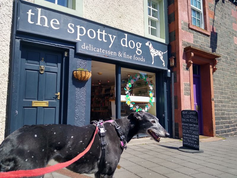 Dotty