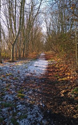 g13/61/523761/3/173222813.83894c71.JPEG