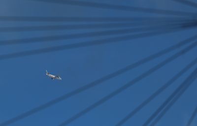 g13/61/523761/3/173383464.e032c01d.JPEG