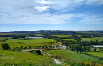 Herrington country park