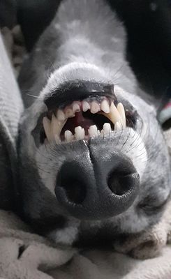 Sleepy dot