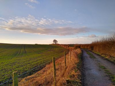 g13/61/523761/3/174298160.7988ada0.JPEG