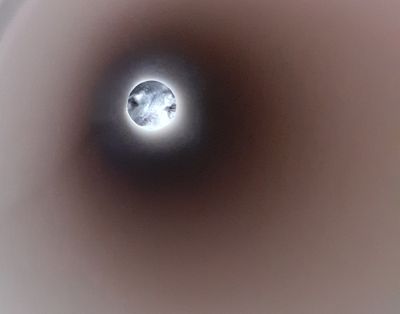 g13/61/523761/3/174510863.406eeaf0.JPEG