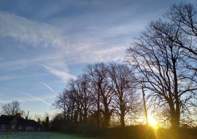 g13/61/523761/3/175149566.ee8d6f06.JPEG