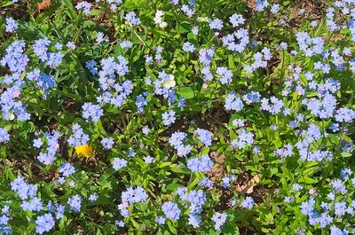 g13/61/5656061/3/174662246.d110f274.JPEG