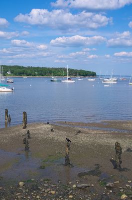 g13/61/5656061/3/174706209.55f54636.JPEG