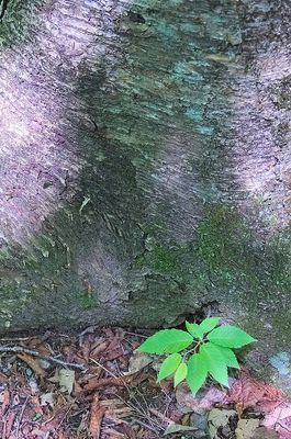g13/61/5656061/3/174814837.1d314199.JPEG