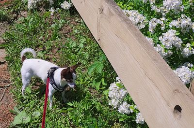 g13/61/5656061/3/174814896.052b2700.JPEG