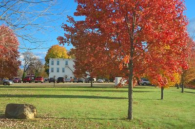 Maine - Late Autumn '24