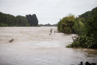 Manawatu river