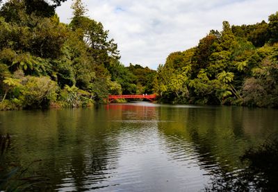 Pukekura Park