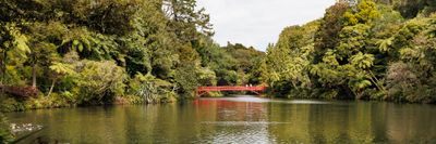 240401_Pukekura-0970w.jpg