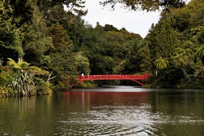 240401_Pukekura-0978w.jpg
