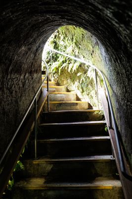240401_Pukekura-1097w.jpg