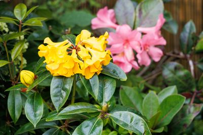 240401_Pukekura-1151w.jpg