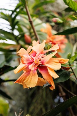 240401_Pukekura-1276w.jpg