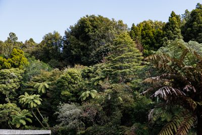 240401_Pukekura-1348w.jpg