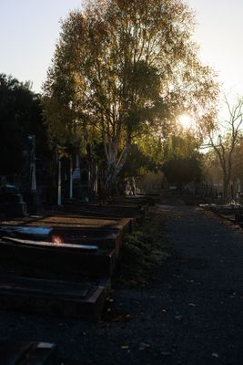 240510TceEndCemetery1767w.jpg