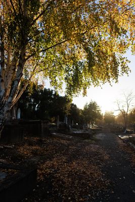 240510TceEndCemetery1768w.jpg