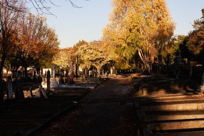 240510TceEndCemetery1783w.jpg
