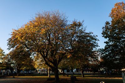 240510TceEndCemetery1787w.jpg